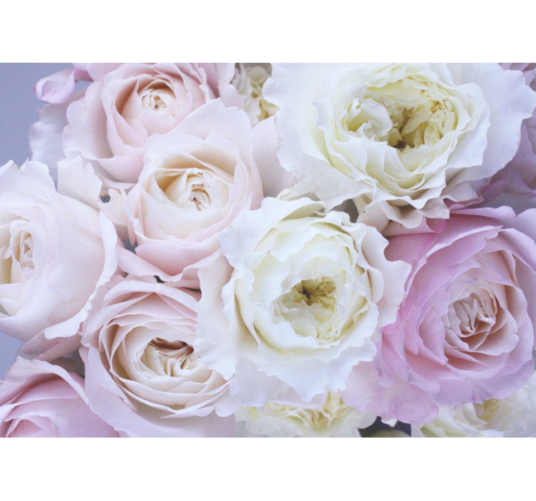 Store enrouleur salon roses différentes en gros plan - TenStickers