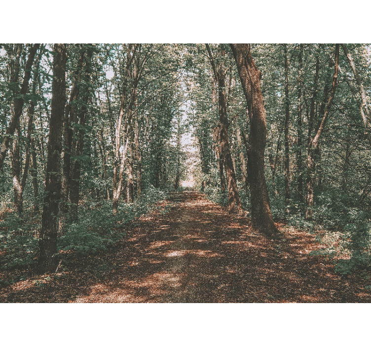 Store enrouleur salon photo forêt verte et brune - TenStickers
