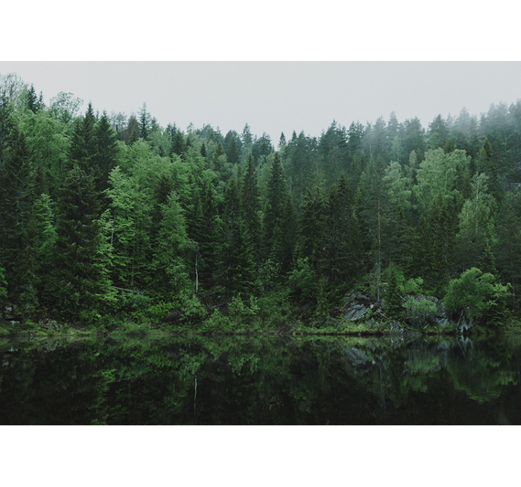 Store enrouleur salon forêt au bord du lac - TenStickers