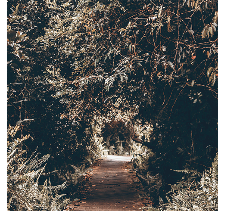 Store enrouleur salon tunnel vers la forêt - TenStickers