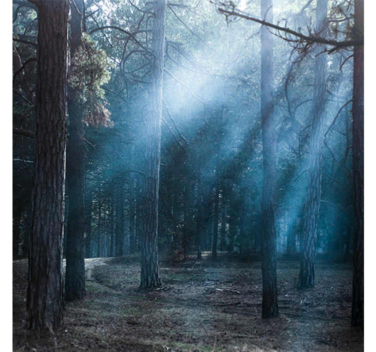 Store enrouleur salon crépuscule en forêt - TenStickers