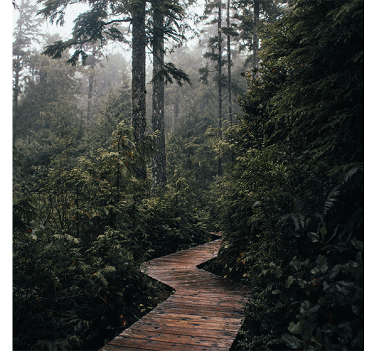 Store enrouleur salon chemin naturel en forêt - TenStickers
