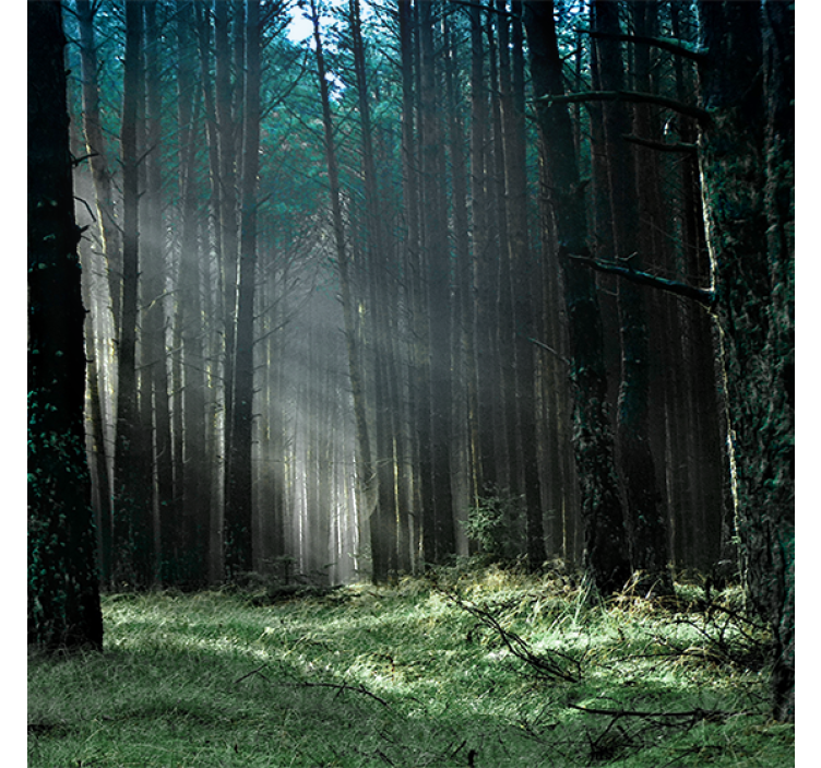 Store enrouleur salon forêt brumeuse bleue - TenStickers