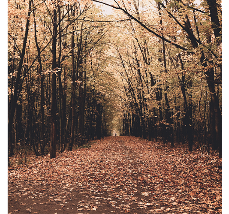 Store enrouleur salon forêt automnale magnifique - TenStickers