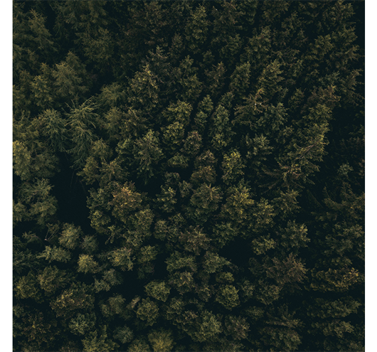 Store enrouleur salon vue aérienne forêt verte brune - TenStickers