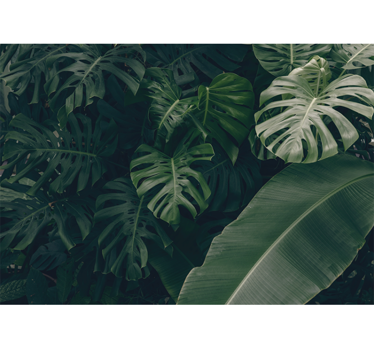 Store enrouleur salon forêt tropicale verte - TenStickers