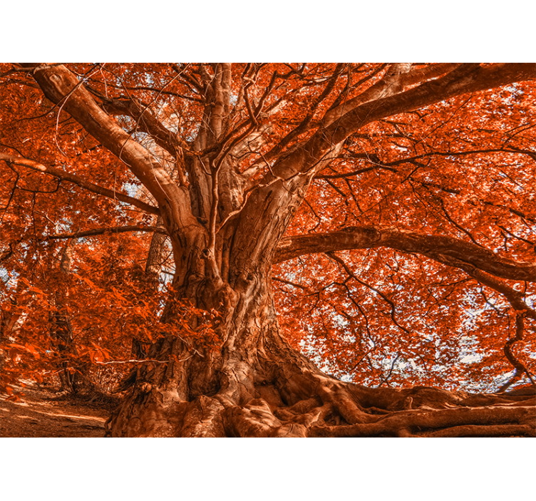 Store enrouleur salon arbre d'automne magnifique - TenStickers