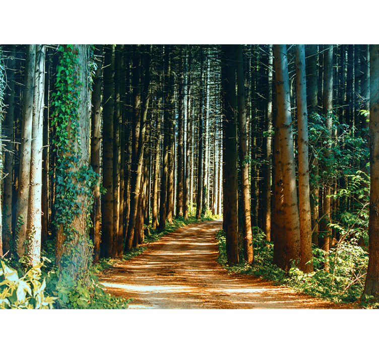 Store enrouleur salon chemin naturel avec arbres - TenStickers