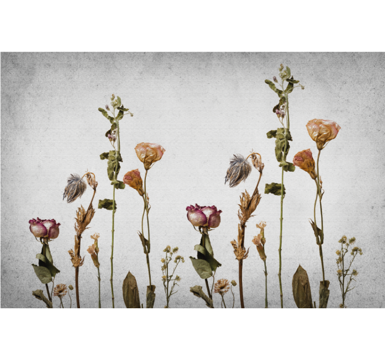 Store enrouleur salon plantes sèches scandinaves - TenStickers