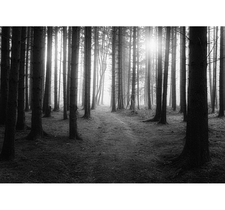 Store enrouleur gris forêt enchantée - TenStickers