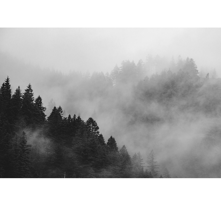 Store enrouleur gris forêt brumeuse noir et blanc - TenStickers