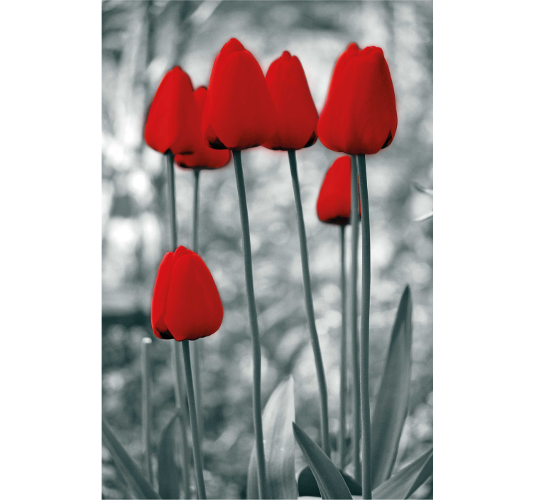 Stores fleurs Tulipes rouges colorées - TenStickers