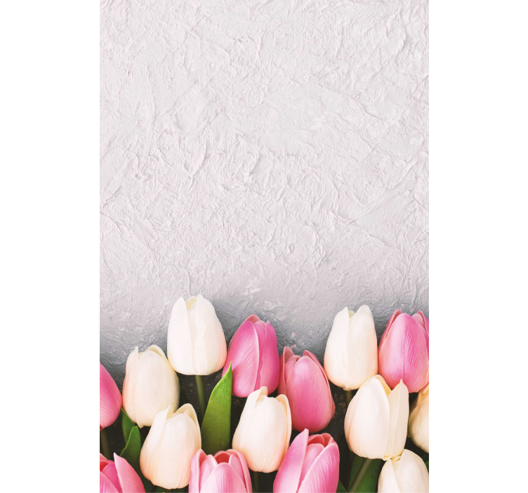Stores fleurs Tulipes blanches et roses - TenStickers