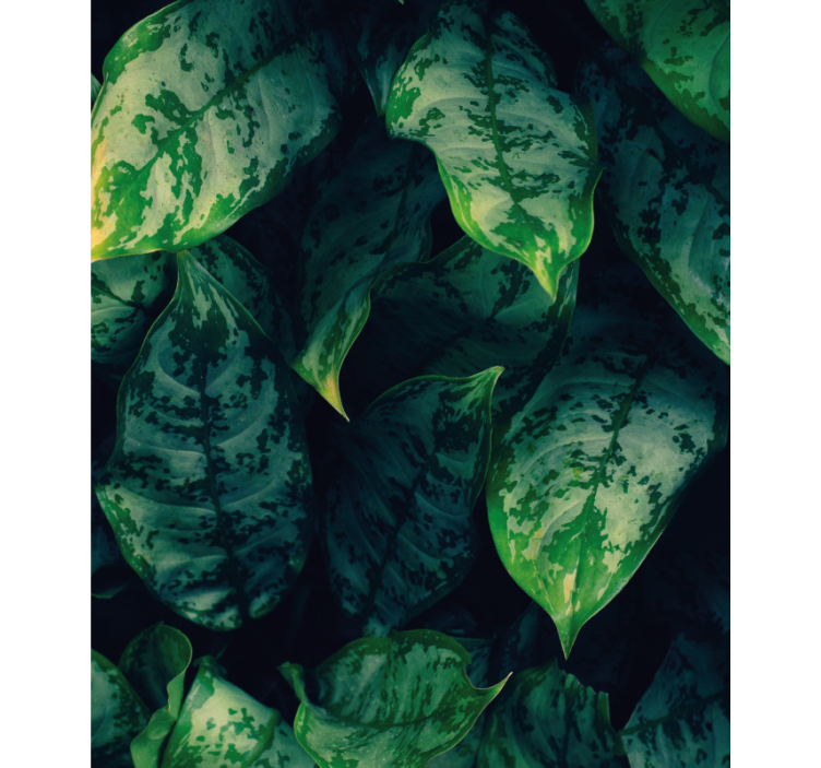 Stores enrouleurs fleurs et plantes feuillage vert vif - TenStickers