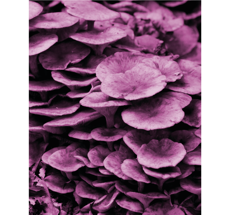 Stores enrouleurs fleurs et plantes couches florales vives - TenStickers