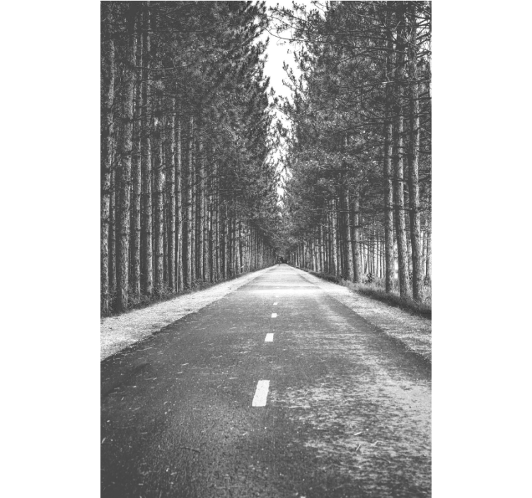 Store enrouleur autres sentier forestier serein - TenStickers