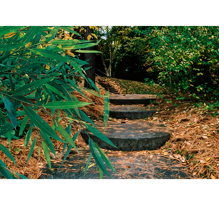 Stores originaux Forêt 3d et petit escalier - TenStickers