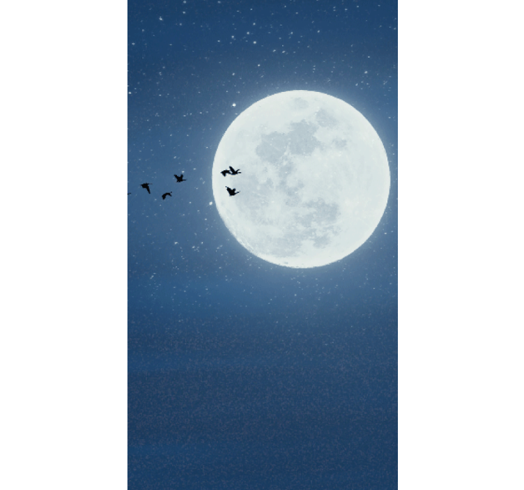 Stores originaux Pleine lune et ciel - TenStickers