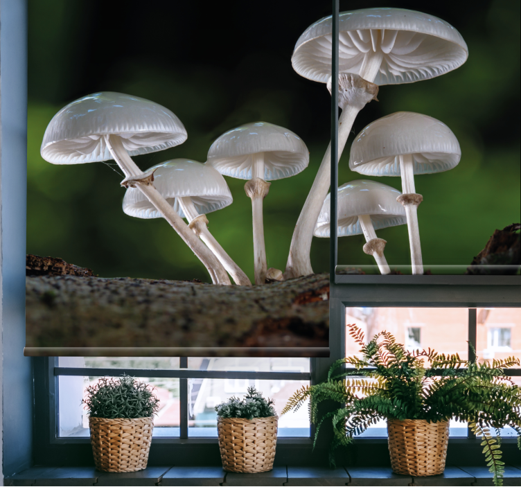 Stores enrouleurs fleurs et plantes grappe de champignons - TenStickers