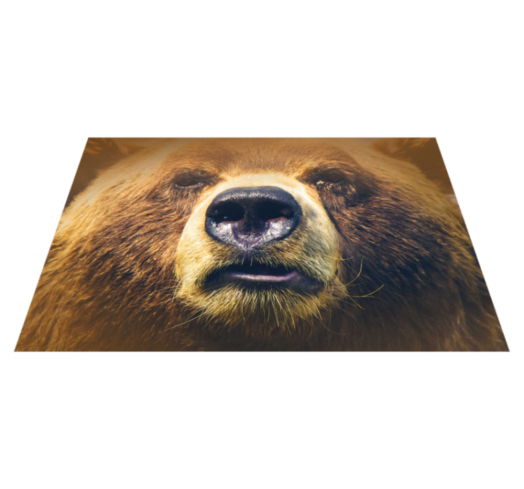 Set de table original visage d'ours en gros plan - TenStickers