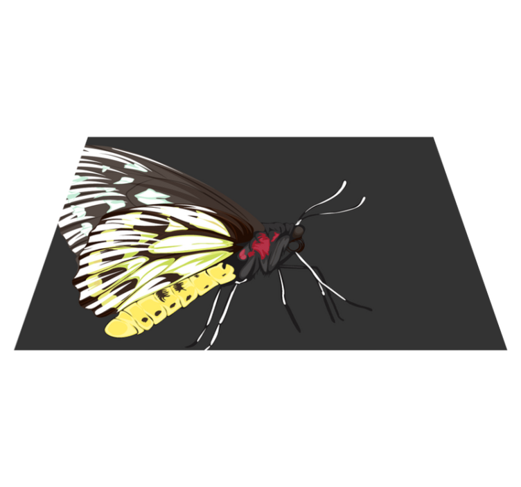 Set de table original illustration de papillons colorés - TenStickers