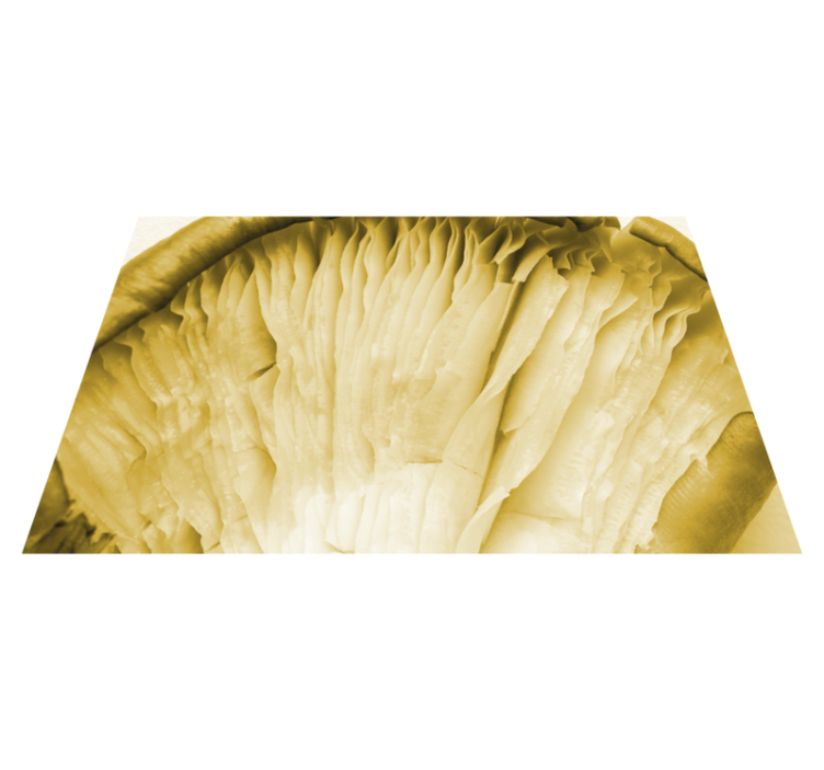 Set de table feuilles courbées en superposition - TenStickers