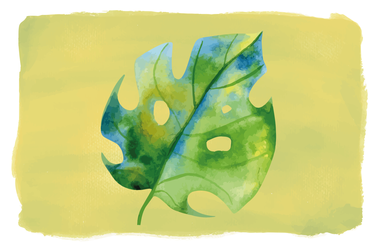 Set de table original design feuille monstera - TenStickers