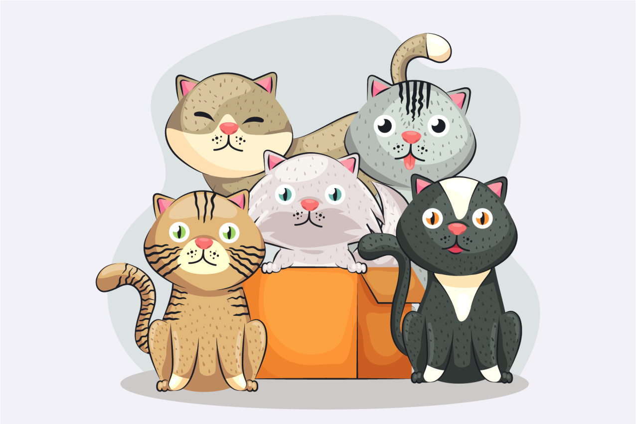 Set de table enfant visages de chats mignons - TenStickers