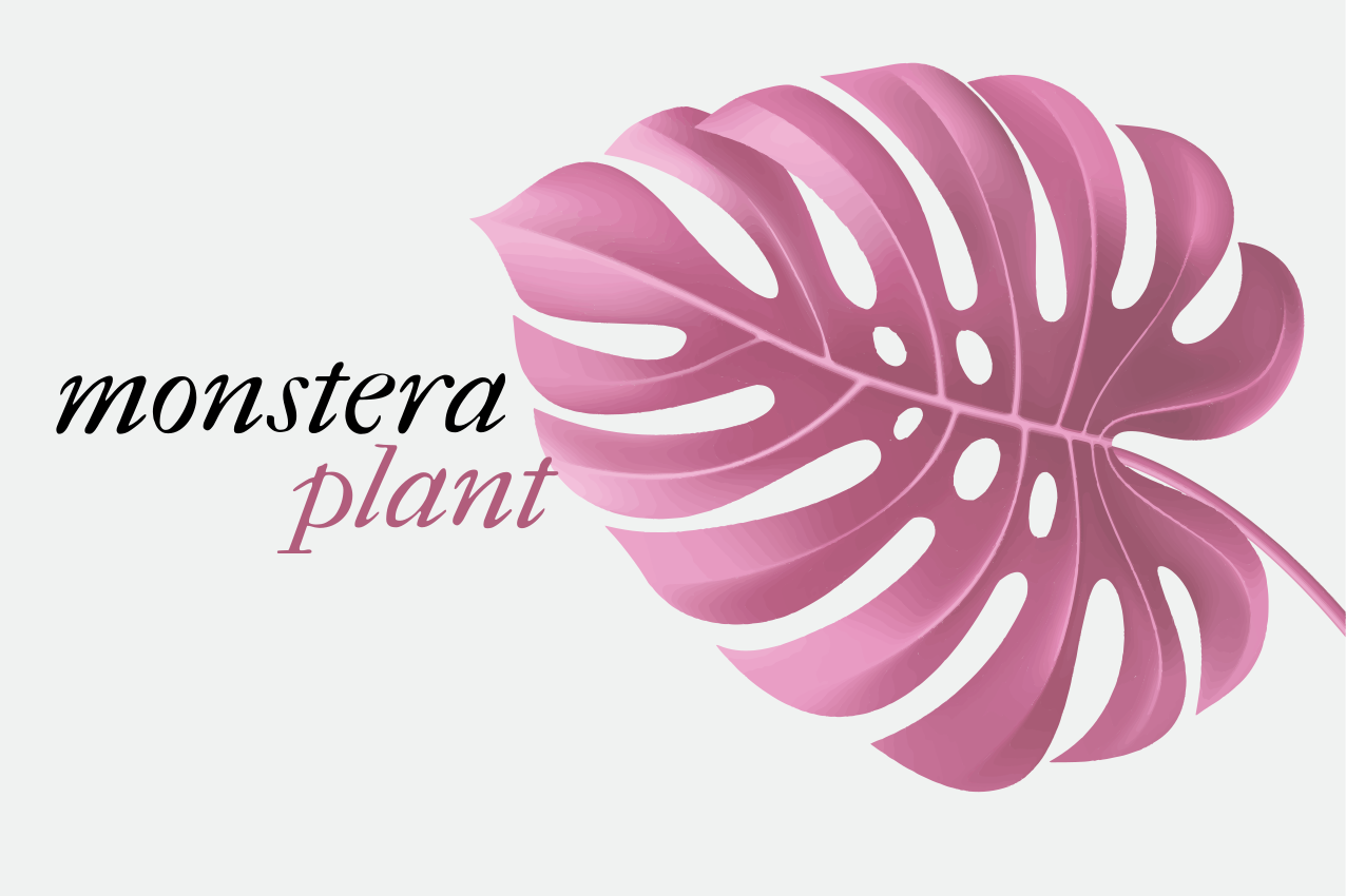 Set de table original motif feuille de monstera - TenStickers