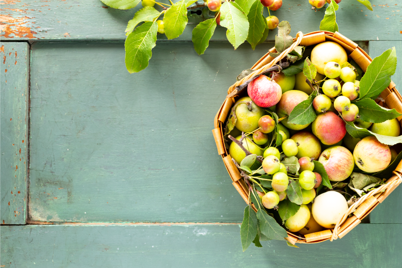 Set de table maison arrangement de panier de fruits - TenStickers