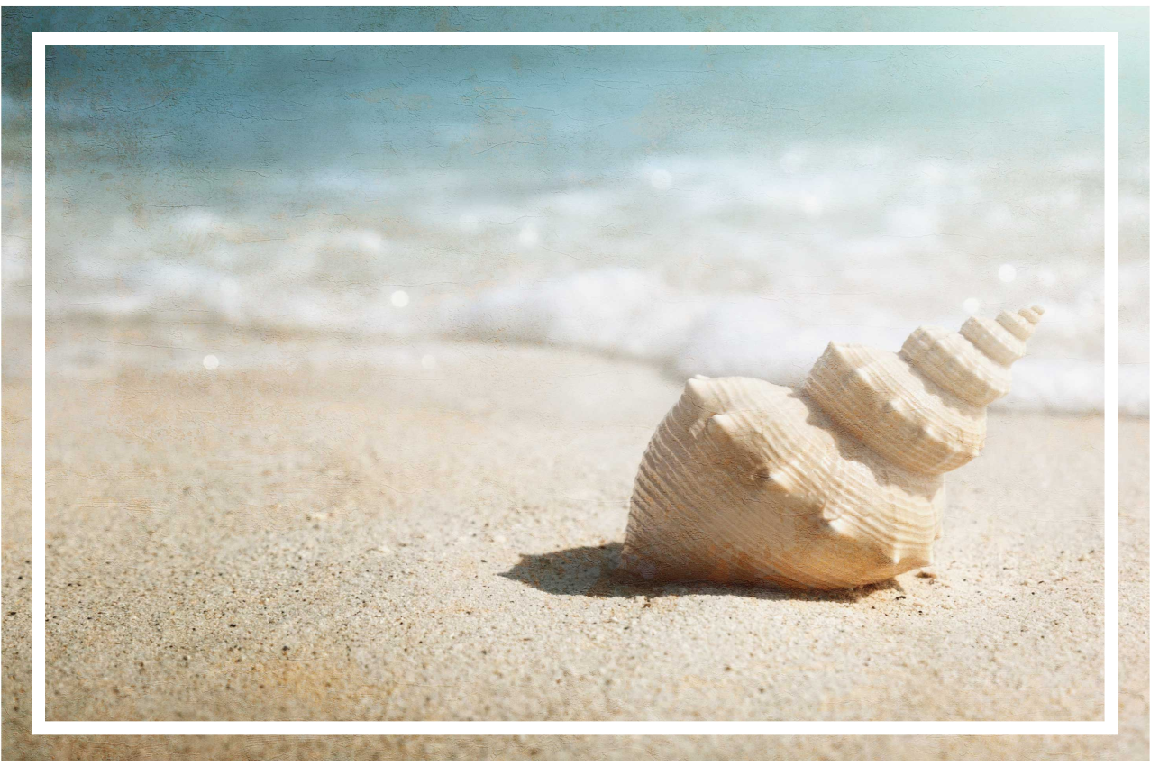 Set de table moderne Coquillage sur le sable - TenStickers