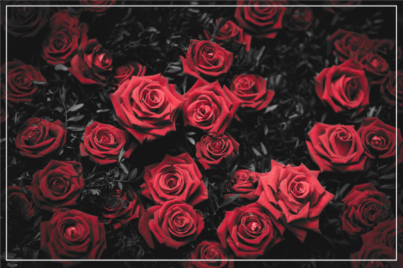 Set de table original Noir et blanc avec des roses rouges - TenStickers