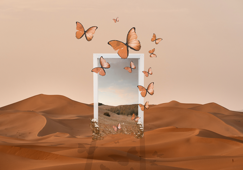 Set de table original cadre de papillons émergeants - TenStickers