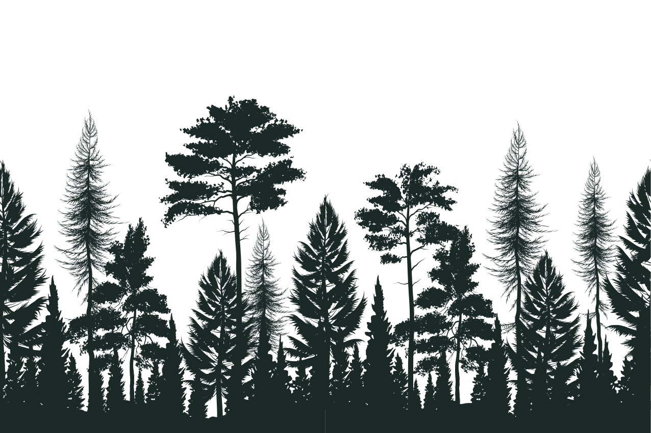 Set de table motif silhouette de forêt - TenStickers