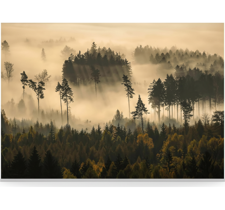 Tapisserie forêt brume matinale éthérée - TenStickers