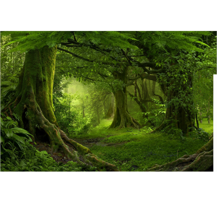 Tapisserie forêt Évasion en pleine nature - TenStickers