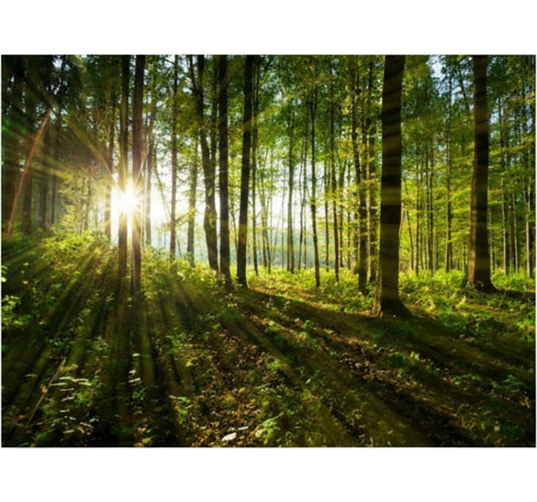 Tapisserie forêt rayons dorés en bois - TenStickers