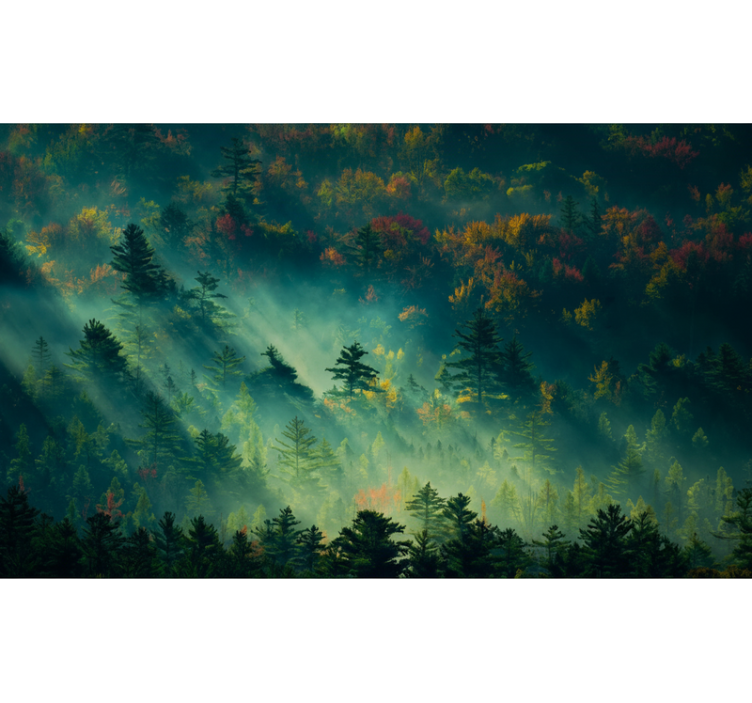 Tapisserie forêt la forêt Énigmatique - TenStickers