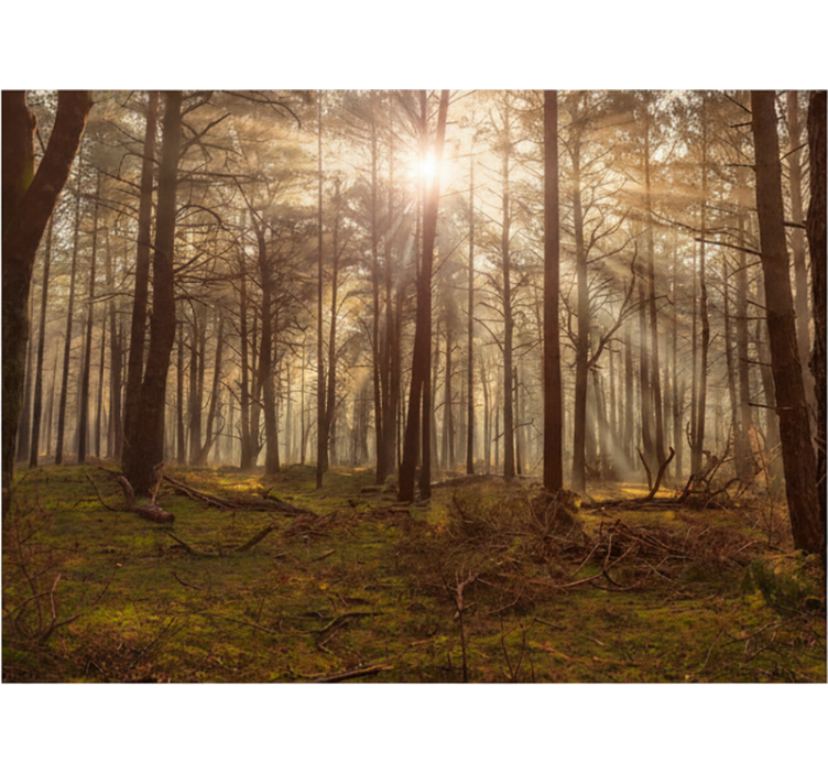 Tapisserie forêt faune dorée dans un salon - TenStickers