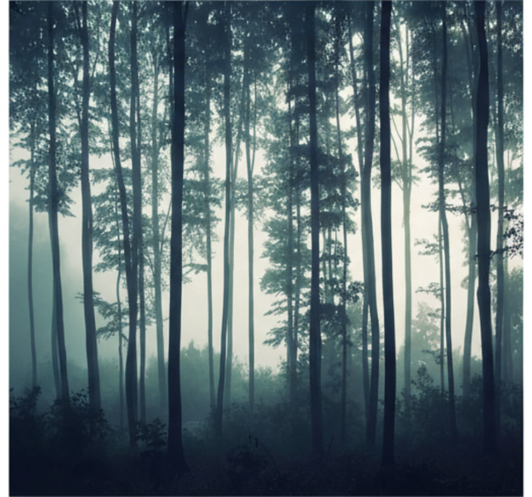 Tapisserie forêt peinture zen de la forêt - TenStickers