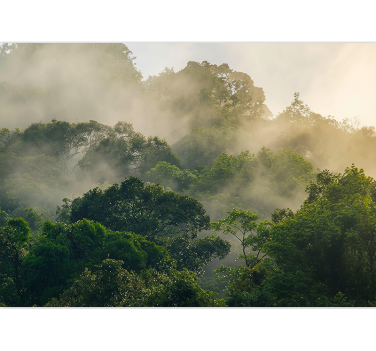 Tapisserie forêt canopée de jungle luxuriante - TenStickers