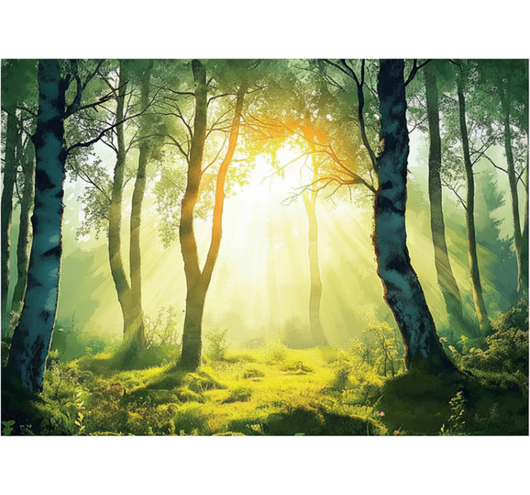 Tapisserie forêt bouleau baigné de soleil - TenStickers