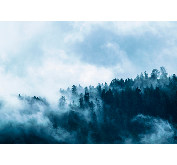 Tapisserie salon scène de forêt brumeuse - TenStickers