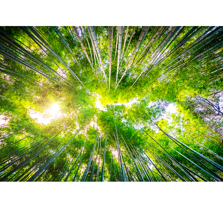 Tapisserie salon auvent en bambou - TenStickers