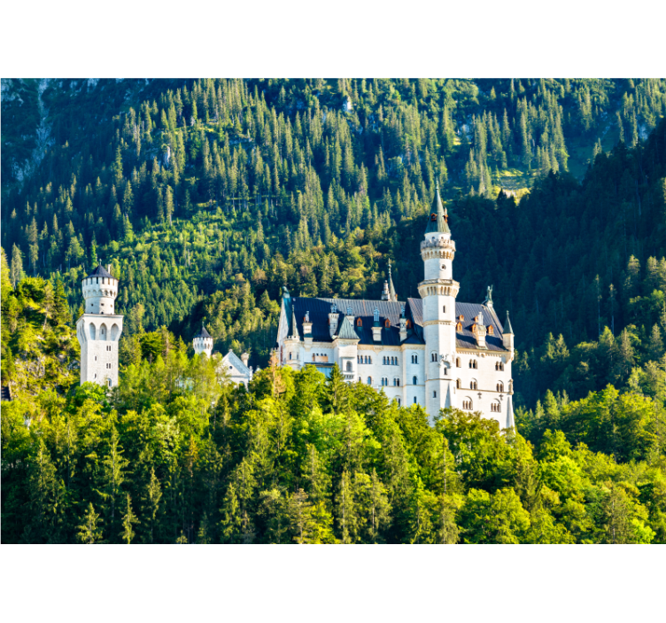 Tapisserie villes et pays vue du château de neuschwanstein - TenStickers