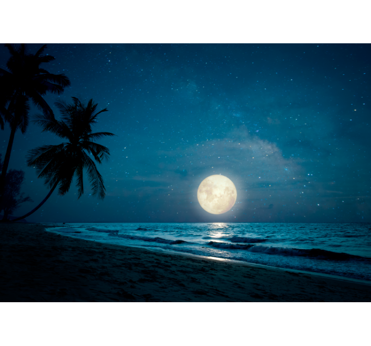 Photo murale chambre paysage mer avec la lune - TenStickers