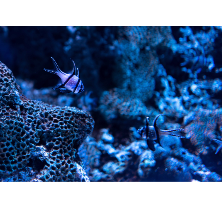 Tapisserie animaux poissons de récif corallien - TenStickers