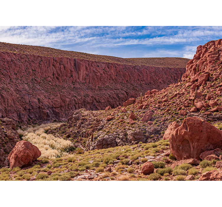 Tapisserie montagne paysage de désert rouge - TenStickers