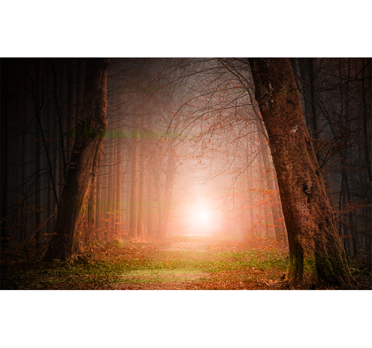 Tapisserie forêt sentier forestier mystérieux - TenStickers