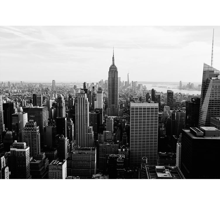 Photo murale Manhattan noir blanc vue du ciel - TenStickers